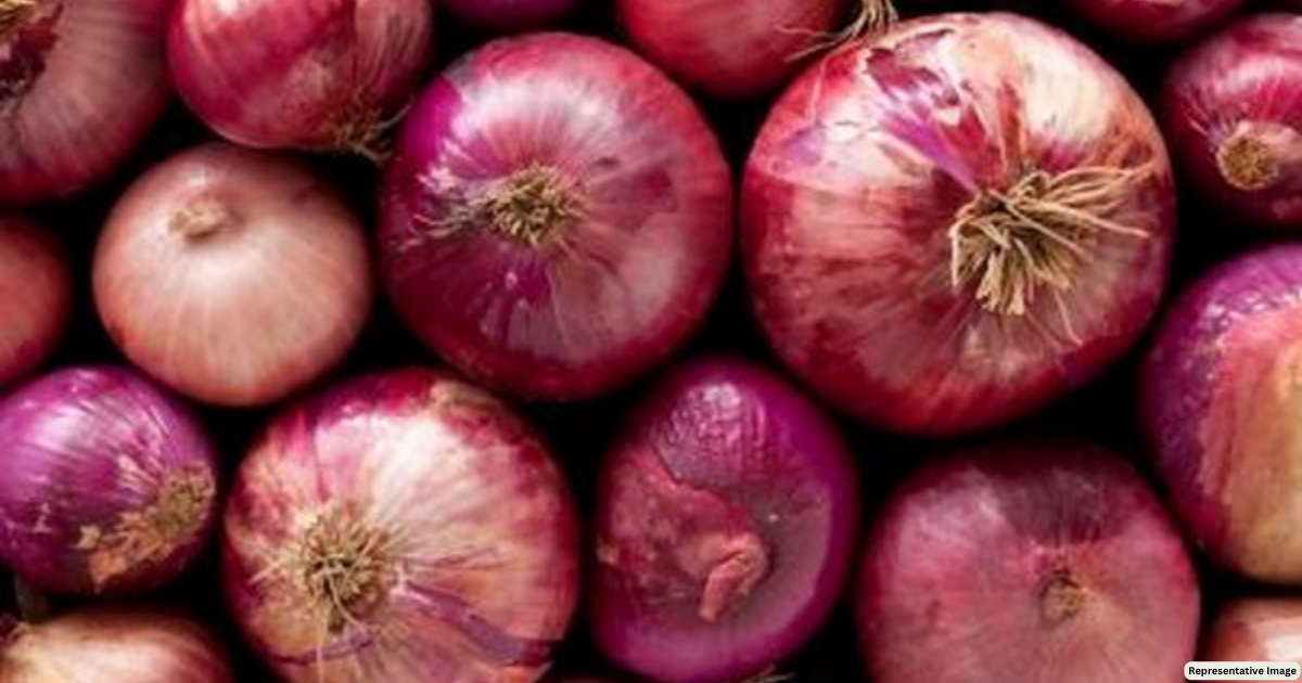 India exported onions worth USD 523.8 million in Apr-Dec 2022